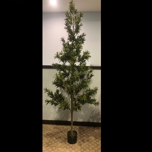 Podocarpus Tree Potted - Artificial Trees/Floor Plants - Unique evergreen tree rentals